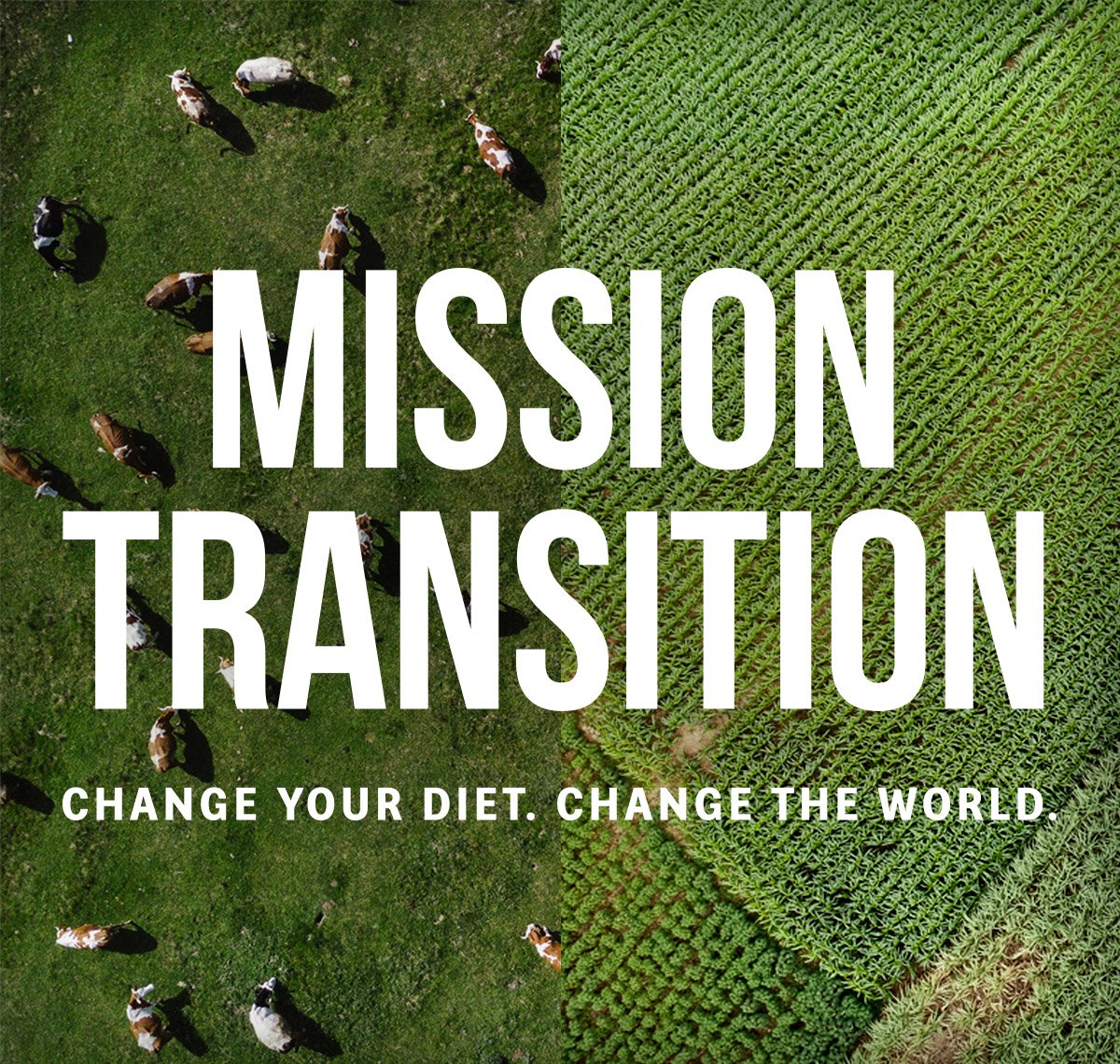 Mission Transition Header Mobile